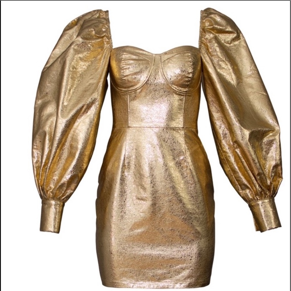 Metallic Gold puffy sleeve dress.